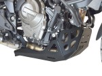 Suzuki_V-Strom_800_SE_plate_B1.jpg