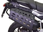 Triumph_Tiger_900_2020_side_luggage_2.jpg