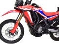 Honda_CRF_300_Rally_full_plate_B2.jpg